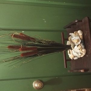 Cattail and sea shell arrangement